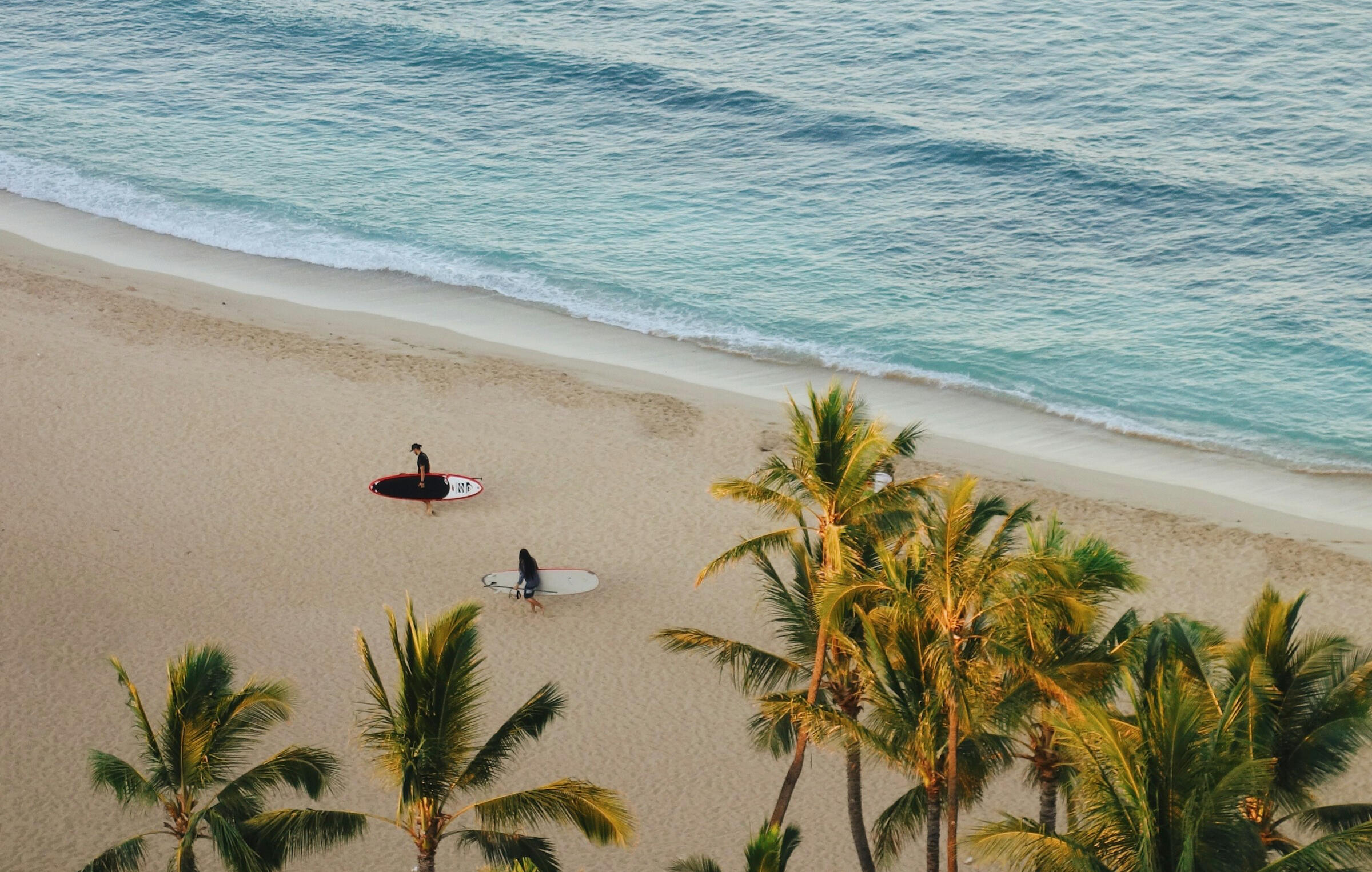 man carrying surfboard out of ocean onto beach, palm trees in the background